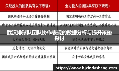 武汉排球队团队协作表现的数据分析与提升策略探讨